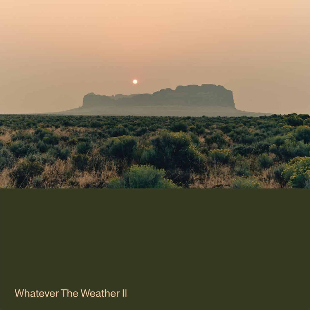 Whatever the Weather — Whatever the Weather II